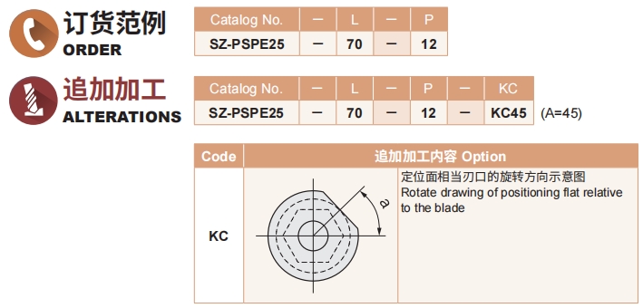 排球直播视频