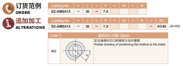 排球直播视频