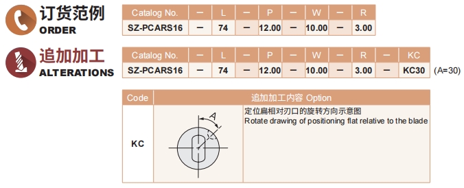 排球直播视频